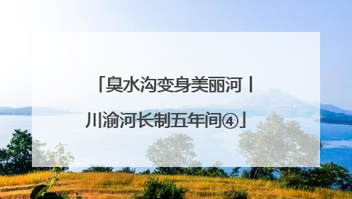 臭水沟变身美丽河丨川渝河长制五年间④