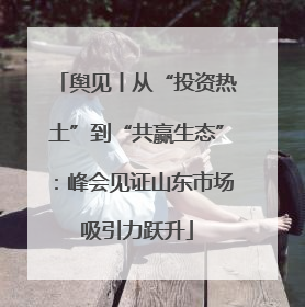 舆见丨从“投资热土”到“共赢生态”：峰会见证山东市场吸引力跃升