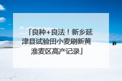 良种+良法！新乡延津县试验田小麦刷新黄淮麦区高产记录