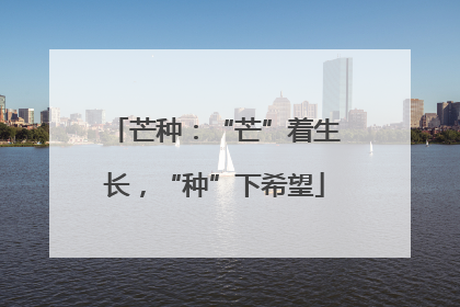 芒种：“芒”着生长，“种”下希望