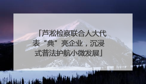 芦淞检察联合人大代表“典”亮企业，沉浸式普法护航小微发展