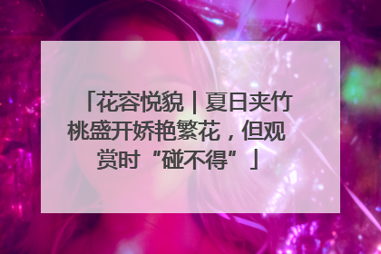 花容悦貌｜夏日夹竹桃盛开娇艳繁花，但观赏时“碰不得”