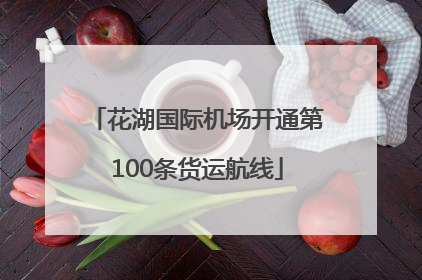 花湖国际机场开通第100条货运航线