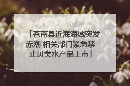 苍南县近海海域突发赤潮 相关部门紧急禁止贝类水产品上市