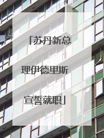 苏丹新总理伊德里斯宣誓就职
