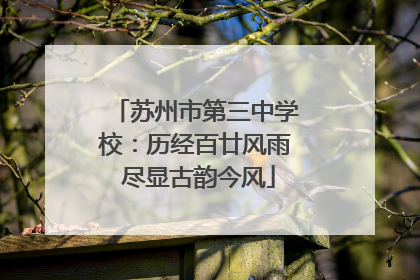 苏州市第三中学校：历经百廿风雨 尽显古韵今风