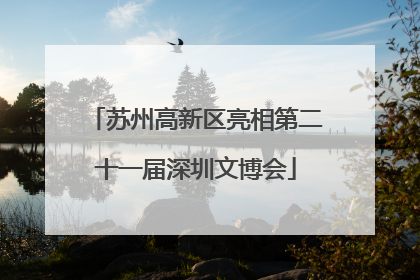 苏州高新区亮相第二十一届深圳文博会