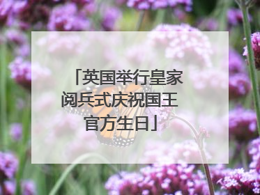 英国举行皇家阅兵式庆祝国王官方生日