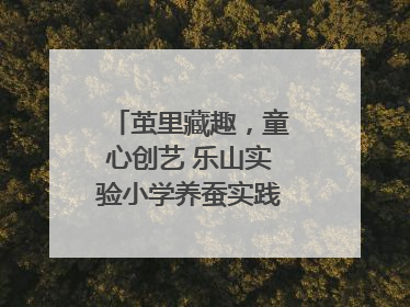 茧里藏趣，童心创艺 乐山实验小学养蚕实践绘就成长画卷