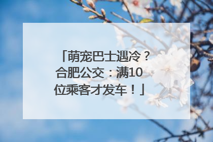 萌宠巴士遇冷？合肥公交：满10位乘客才发车！