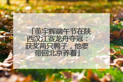 董宇辉端午节在陕西汉江赛龙舟夺冠：获奖两只鸭子，他要带回北京养着