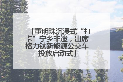 董明珠沉浸式“打卡”宁乡非遗，出席格力钛新能源公交车投放启动式