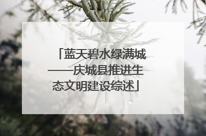 蓝天碧水绿满城——庆城县推进生态文明建设综述