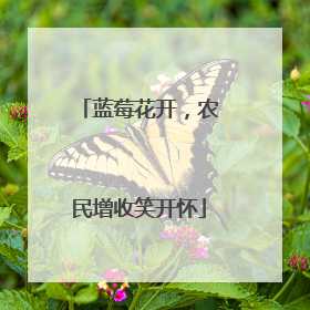 蓝莓花开，农民增收笑开怀