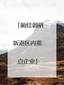 蔺佳调研新港区内重点企业