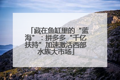 藏在鱼缸里的“蓝海”：拼多多“千亿扶持”加速激活西部水族大市场