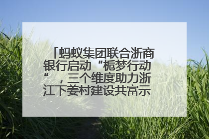 蚂蚁集团联合浙商银行启动“栀梦行动”，三个维度助力浙江下姜村建设共富示范区示范点