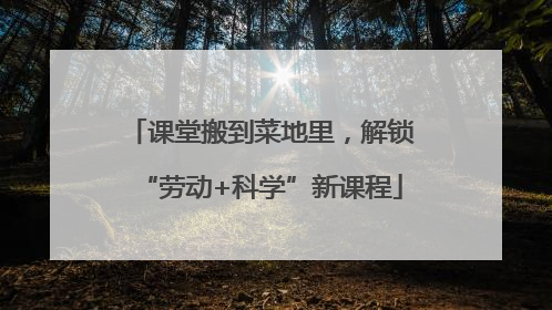 课堂搬到菜地里，解锁“劳动+科学”新课程