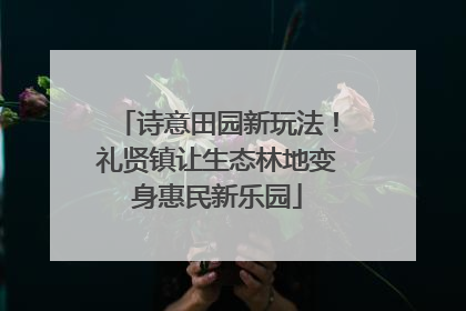 诗意田园新玩法！礼贤镇让生态林地变身惠民新乐园