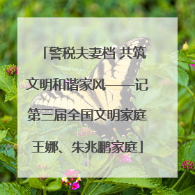 警税夫妻档 共筑文明和谐家风——记第三届全国文明家庭王娜、朱兆鹏家庭
