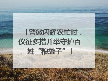 警徽闪耀农忙时，仪征多措并举守护百姓“粮袋子”