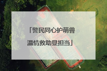 警民同心护萌兽 温情救助显担当