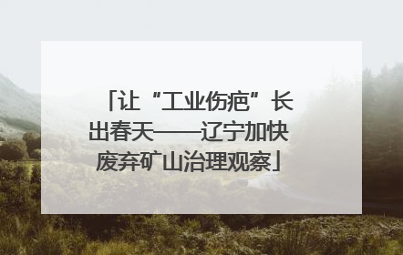 让“工业伤疤”长出春天——辽宁加快废弃矿山治理观察