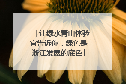 让绿水青山体验官告诉你，绿色是浙江发展的底色