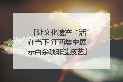 让文化遗产“活”在当下 江西集中展示百余项非遗技艺