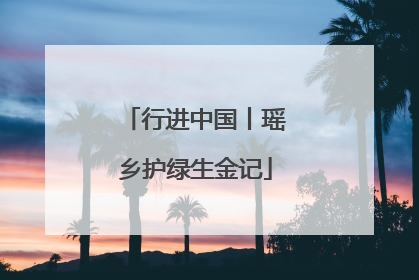 行进中国丨瑶乡护绿生金记