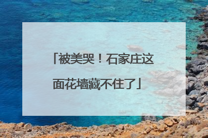 被美哭！石家庄这面花墙藏不住了