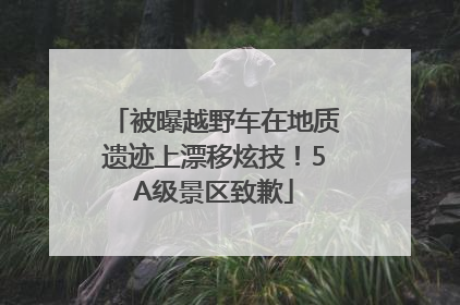 被曝越野车在地质遗迹上漂移炫技！5A级景区致歉
