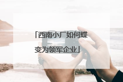 西南小厂如何蝶变为领军企业