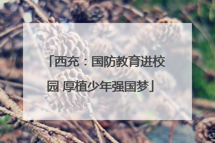 西充：国防教育进校园 厚植少年强国梦