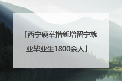 西宁硬举措新增留宁就业毕业生1800余人