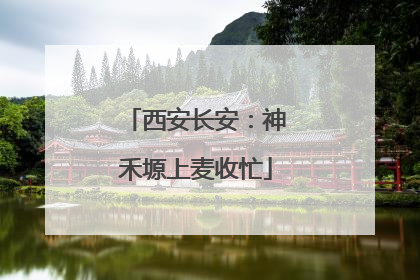 西安长安：神禾塬上麦收忙