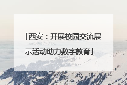 西安：开展校园交流展示活动助力数字教育
