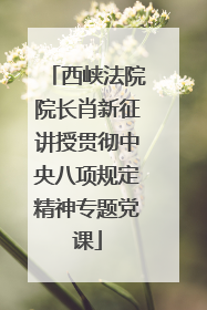 西峡法院院长肖新征讲授贯彻中央八项规定精神专题党课