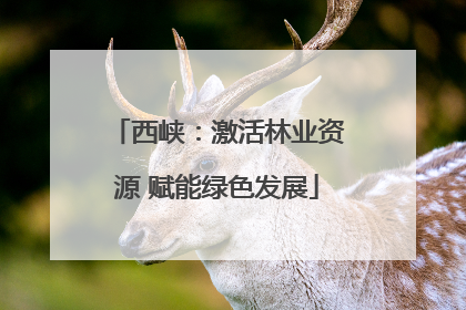 西峡：激活林业资源 赋能绿色发展