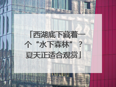 西湖底下藏着一个“水下森林”？夏天正适合观赏