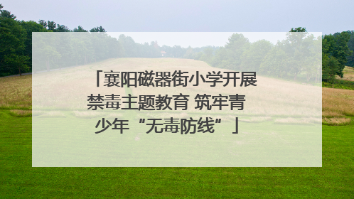 襄阳磁器街小学开展禁毒主题教育 筑牢青少年“无毒防线”