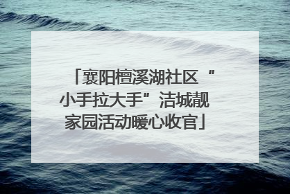 襄阳檀溪湖社区“小手拉大手”洁城靓家园活动暖心收官