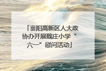 襄阳高新区人大政协办开展魏庄小学“六一”慰问活动