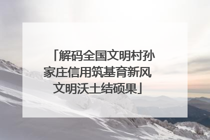 解码全国文明村孙家庄信用筑基育新风文明沃土结硕果