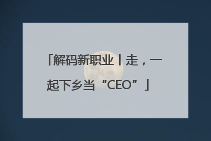 解码新职业丨走，一起下乡当“CEO”