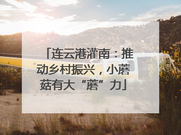 连云港灌南：推动乡村振兴，小蘑菇有大“蘑”力