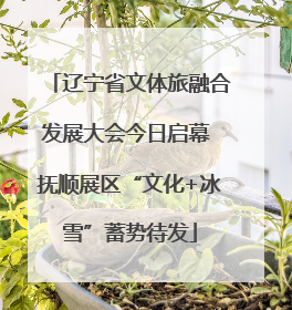 辽宁省文体旅融合发展大会今日启幕 抚顺展区“文化+冰雪”蓄势待发