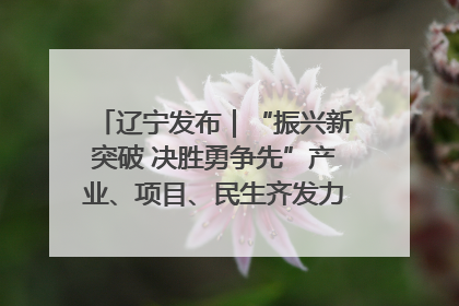 辽宁发布｜“振兴新突破 决胜勇争先”产业、项目、民生齐发力 葫芦岛按下决胜之年“加速键”