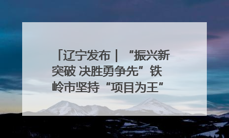 辽宁发布｜“振兴新突破 决胜勇争先”铁岭市坚持“项目为王”推进经济高质量发展