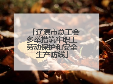 辽源市总工会多举措筑牢职工劳动保护和安全生产防线